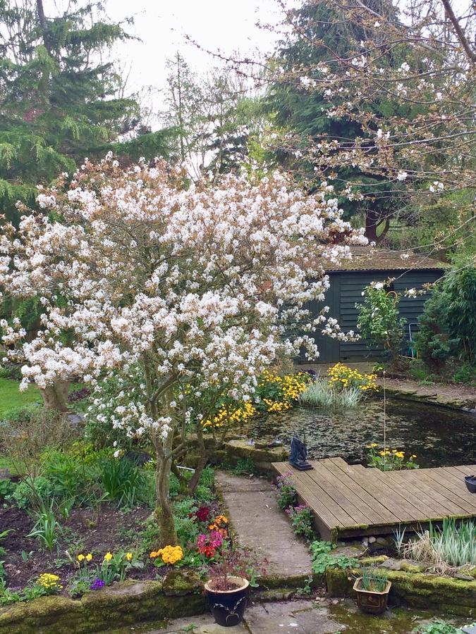 Yew Tree Cottage Leominster Bagian luar foto